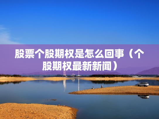 股票个股期权是怎么回事（个股期权最新新闻）