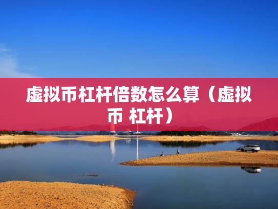 虚拟币杠杆倍数怎么算（虚拟币 杠杆）