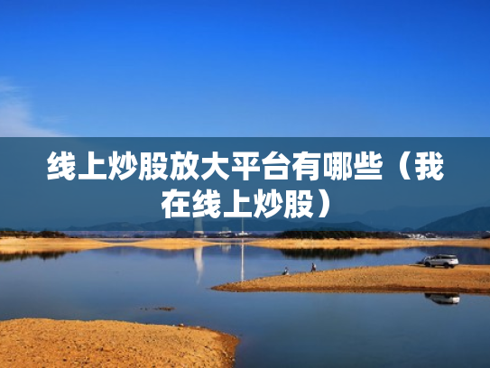 线上炒股放大平台有哪些（我在线上炒股）