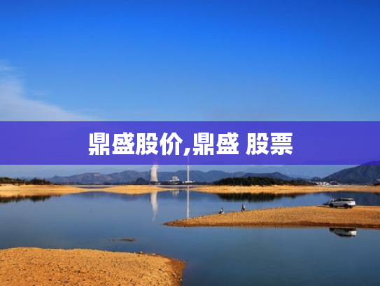 鼎盛股价,鼎盛 股票