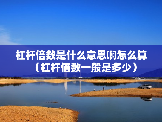 杠杆倍数是什么意思啊怎么算（杠杆倍数一般是多少）