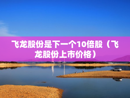 飞龙股份是下一个10倍股（飞龙股份上市价格）