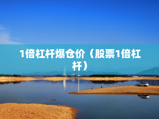 1倍杠杆爆仓价（股票1倍杠杆）