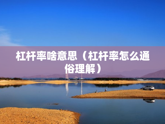 杠杆率啥意思（杠杆率怎么通俗理解）