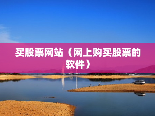 买股票网站（网上购买股票的软件）