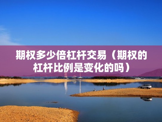 期权多少倍杠杆交易（期权的杠杆比例是变化的吗）