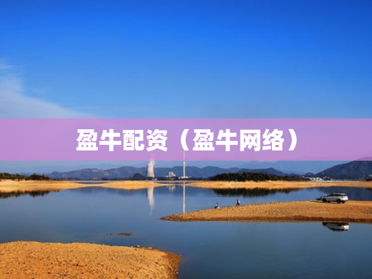 盈牛配资（盈牛网络）