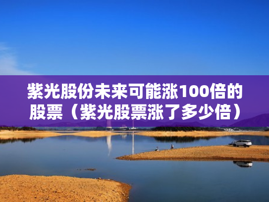 紫光股份未来可能涨100倍的股票（紫光股票涨了多少倍）