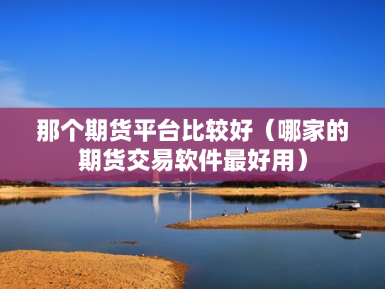 那个期货平台比较好（哪家的期货交易软件最好用）