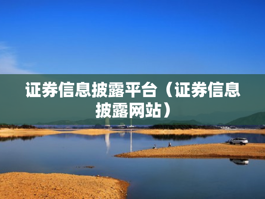 证券信息披露平台（证券信息披露网站）