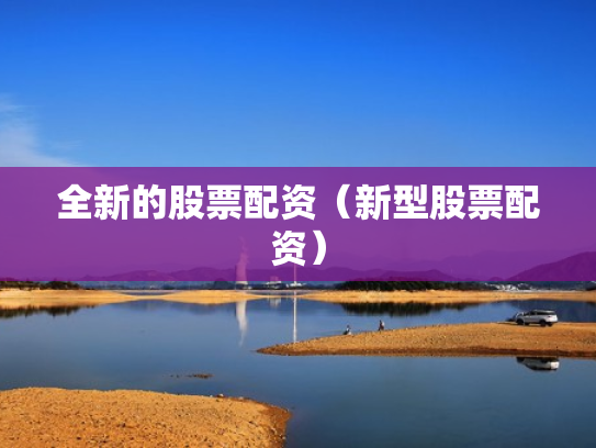 全新的股票配资（新型股票配资）