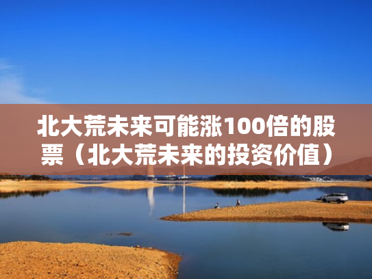 北大荒未来可能涨100倍的股票（北大荒未来的投资价值）