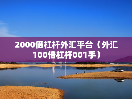 2000倍杠杆外汇平台（外汇100倍杠杆001手）