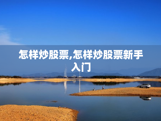 怎样炒股票,怎样炒股票新手入门