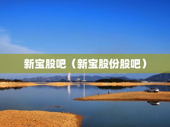 新宝股吧（新宝股份股吧）