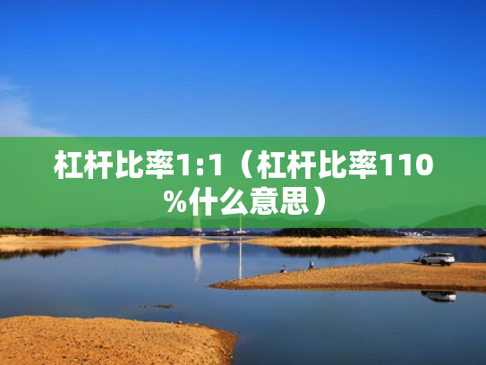 杠杆比率1:1（杠杆比率110%什么意思）