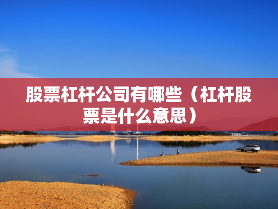 股票杠杆公司有哪些（杠杆股票是什么意思）