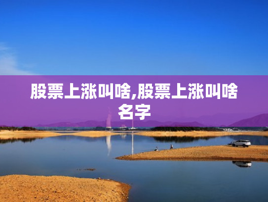 股票上涨叫啥,股票上涨叫啥名字