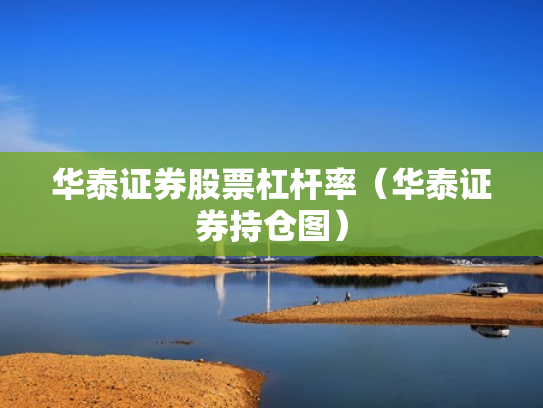 华泰证券股票杠杆率（华泰证券持仓图）
