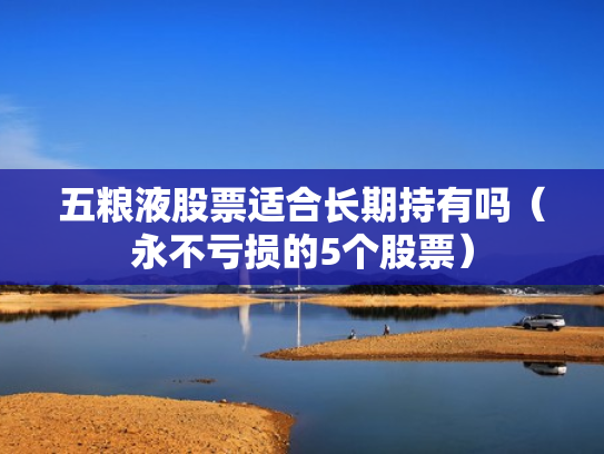 五粮液股票适合长期持有吗（永不亏损的5个股票）
