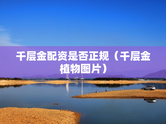 千层金配资是否正规（千层金植物图片）
