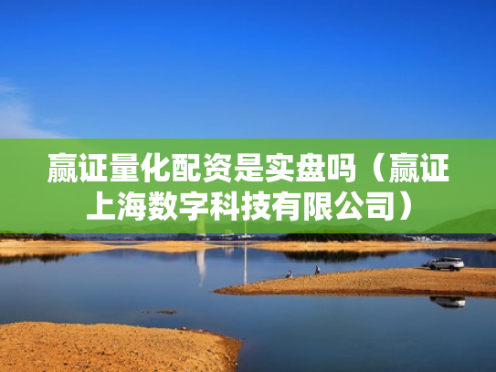 赢证量化配资是实盘吗（赢证上海数字科技有限公司）