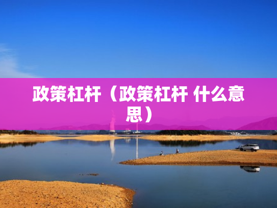 政策杠杆（政策杠杆 什么意思）