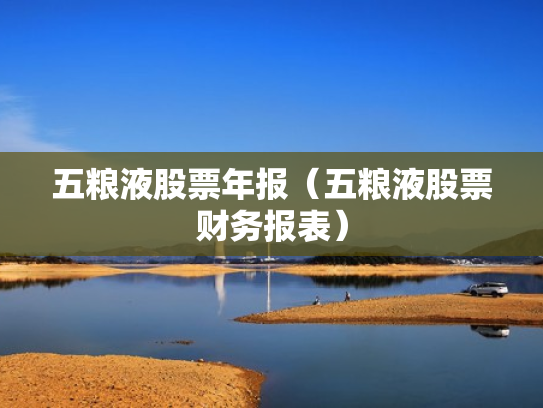 五粮液股票年报（五粮液股票财务报表）