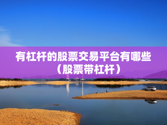 有杠杆的股票交易平台有哪些（股票带杠杆）