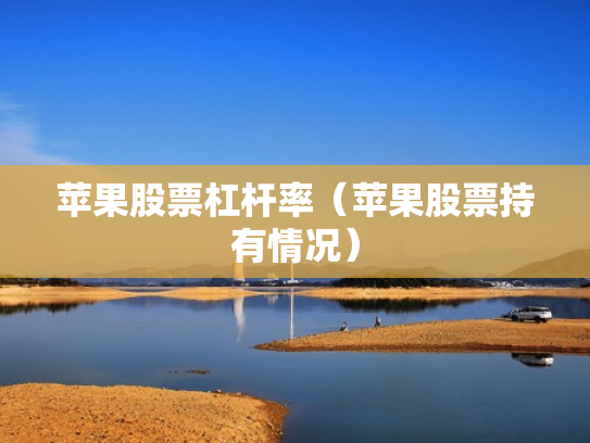 苹果股票杠杆率（苹果股票持有情况）