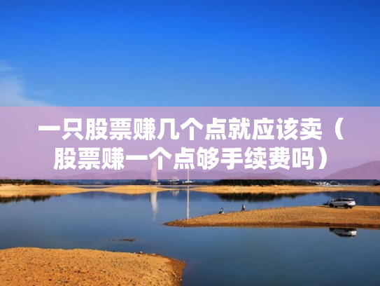 一只股票赚几个点就应该卖（股票赚一个点够手续费吗）
