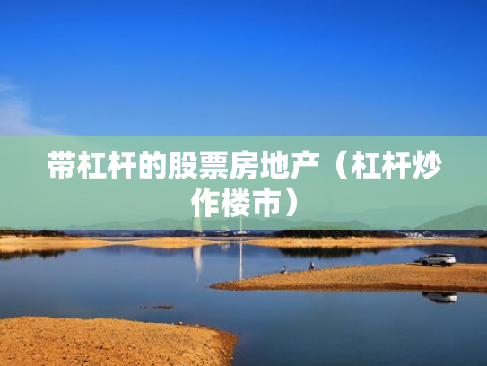 带杠杆的股票房地产（杠杆炒作楼市）