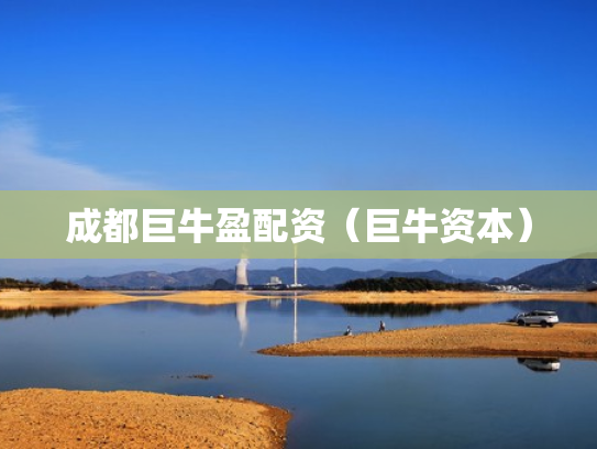 成都巨牛盈配资（巨牛资本）