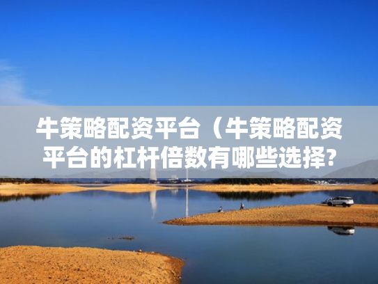 牛策略配资平台（牛策略配资平台的杠杆倍数有哪些选择?）