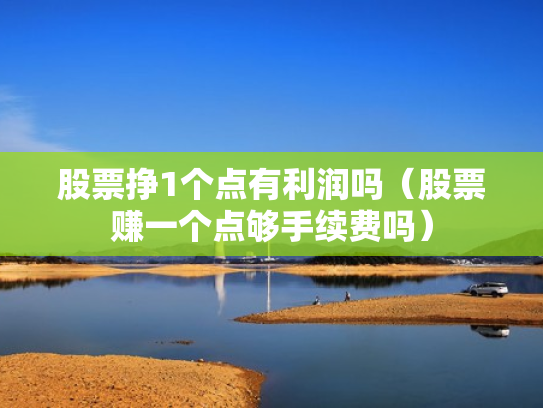 股票挣1个点有利润吗（股票赚一个点够手续费吗）