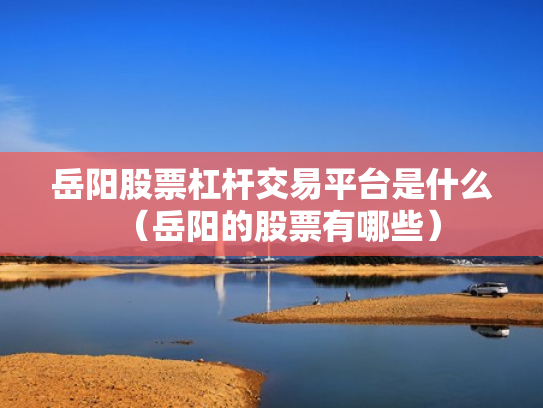 岳阳股票杠杆交易平台是什么（岳阳的股票有哪些）