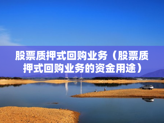 股票质押式回购业务（股票质押式回购业务的资金用途）