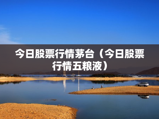 今日股票行情茅台（今日股票行情五粮液）