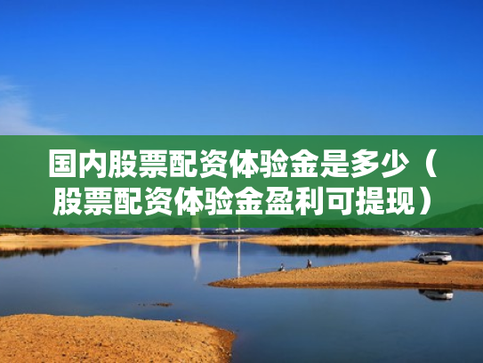 国内股票配资体验金是多少（股票配资体验金盈利可提现）